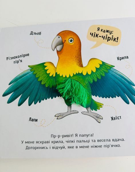 Мої улюбленці. Познайомся і погладь А1455002У фото