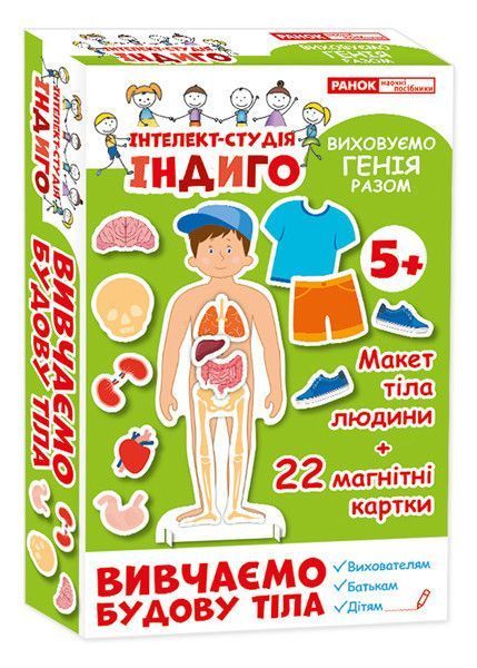 Вивчаємо будову тіла. Серія &laquo;Інтелект-студія ІНДИГО&raquo; 297556 фото